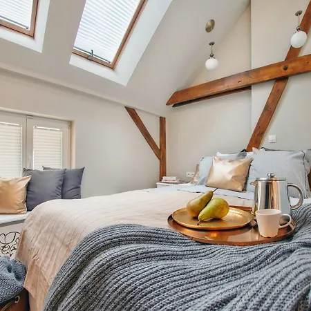 Scandi Bestseller By Lion アパート *